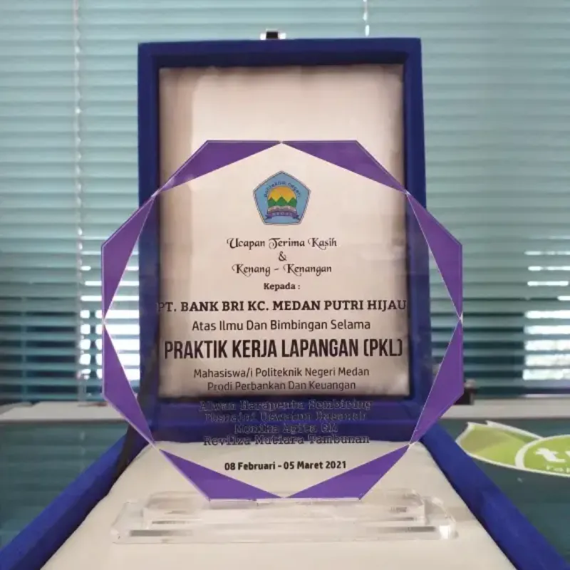 Graduation Internship